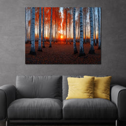 Sunrise Through the Birch Grove - TooplesArt - NicheCanvas