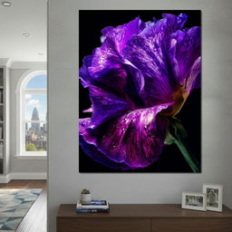 Violet Petal Radiance Macro - NicheCanvas