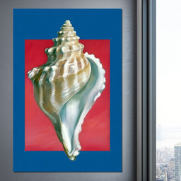 Seashell Spiral Elegance - NicheCanvas