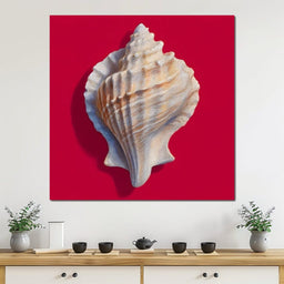 Seashell Reverie on Red - NicheCanvas