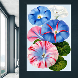 Morning Glory Reverie - TooplesArt - NicheCanvas