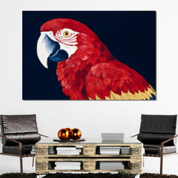Scarlet Macaw Mirage - NicheCanvas