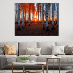 Sunrise Through the Birch Grove - TooplesArt - NicheCanvas
