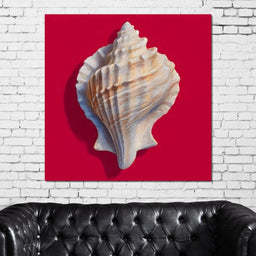 Seashell Reverie on Red - NicheCanvas