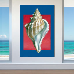 Seashell Spiral Elegance - NicheCanvas