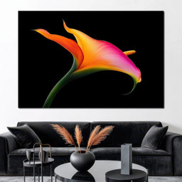 Vivid Orchid Glow - TooplesArt - NicheCanvas