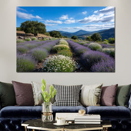Lavender Fields Mountain Sky - NicheCanvas