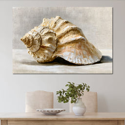 Tidal Rhythms of Coastal Shell - NicheCanvas