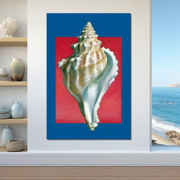 Seashell Spiral Elegance - NicheCanvas