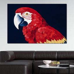 Scarlet Macaw Mirage - NicheCanvas