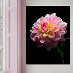 Radiant Dahlia Petals Macro Glow - NicheCanvas