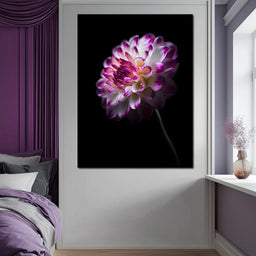 Radiant Orchid Dahlia Nocturne - NicheCanvas
