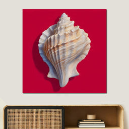 Seashell Reverie on Red - NicheCanvas