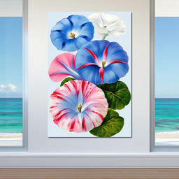 Morning Glory Reverie - TooplesArt - NicheCanvas