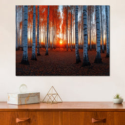 Sunrise Through the Birch Grove - TooplesArt - NicheCanvas