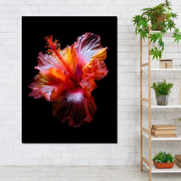 Radiant Hibiscus Petal Flame - NicheCanvas