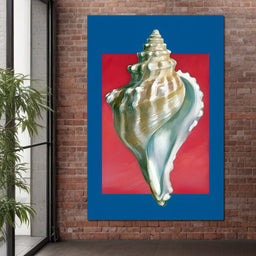 Seashell Spiral Elegance - NicheCanvas