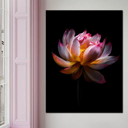 Luminous Lotus Radiant Petals - NicheCanvas