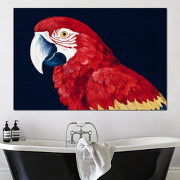 Scarlet Macaw Mirage - NicheCanvas