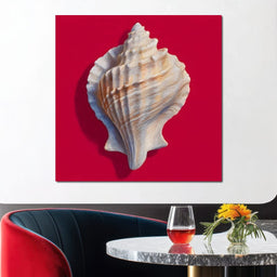 Seashell Reverie on Red - NicheCanvas