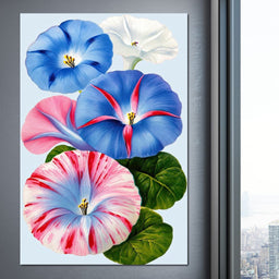 Morning Glory Reverie - TooplesArt - NicheCanvas