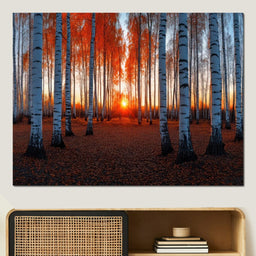 Sunrise Through the Birch Grove - TooplesArt - NicheCanvas