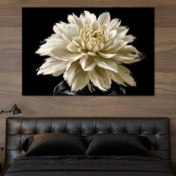 Pale Petals Held Against The Void - NicheCanvas