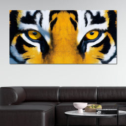 Gaze of the Jungle Tiger - NicheCanvas