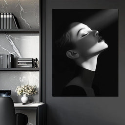 Elegance In Shadow - David Drake - NicheCanvas