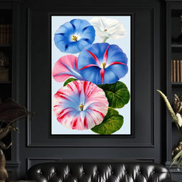 Morning Glory Reverie - TooplesArt - NicheCanvas