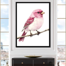 Rosefinch Perched On Spring - NicheCanvas