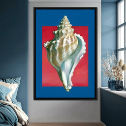 Seashell Spiral Elegance - NicheCanvas