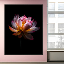 Luminous Lotus Radiant Petals - NicheCanvas