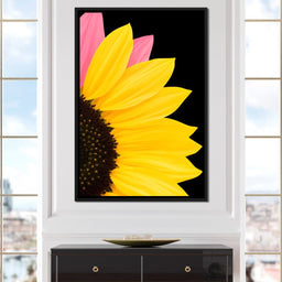 Yellow Sunlit Petals - NicheCanvas