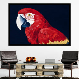 Scarlet Macaw Mirage - NicheCanvas