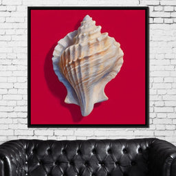 Seashell Reverie on Red - NicheCanvas