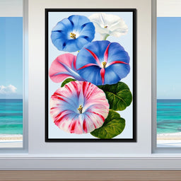 Morning Glory Reverie - TooplesArt - NicheCanvas