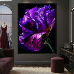 Violet Petal Radiance Macro - NicheCanvas