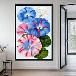 Morning Glory Reverie - TooplesArt - NicheCanvas