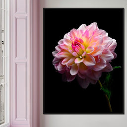 Radiant Dahlia Petals Macro Glow - NicheCanvas