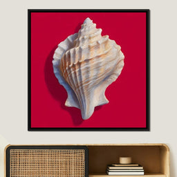Seashell Reverie on Red - NicheCanvas