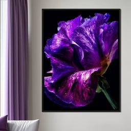 Violet Petal Radiance Macro - NicheCanvas