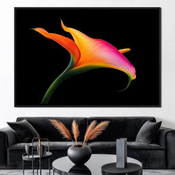 Vivid Orchid Glow - TooplesArt - NicheCanvas