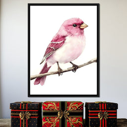 Rosefinch Perched On Spring - NicheCanvas