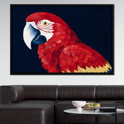 Scarlet Macaw Mirage - NicheCanvas