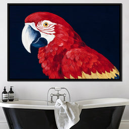 Scarlet Macaw Mirage - NicheCanvas