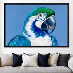 Majestic Cyan Parrot Portrait - NicheCanvas