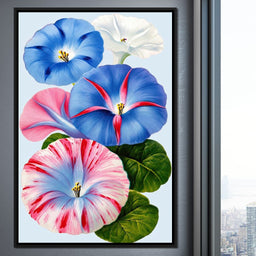 Morning Glory Reverie - TooplesArt - NicheCanvas