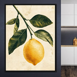 Fresh Citrus - NicheCanvas