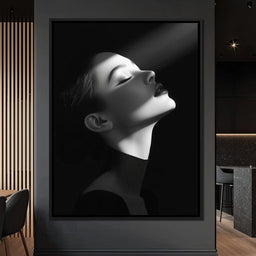 Elegance In Shadow - David Drake - NicheCanvas